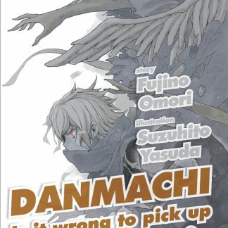 Danmachi Novel 11