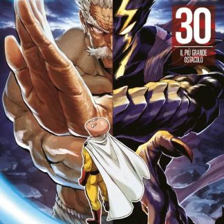 One Punch Man 30