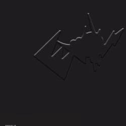 Evol 8